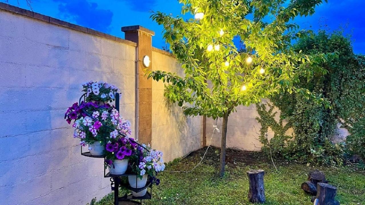 Hotel Oxford By Timhotels Timisoara Bagian luar foto